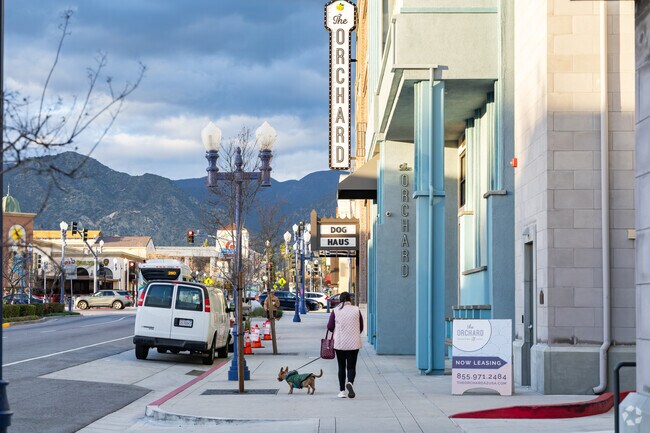 All the amenities the Orchard has to offer are just a short stroll away from Rosedale.