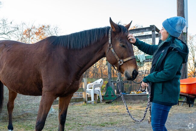 Garrett Mountain Equestrian Center in Clifton provides care to horses and lessons to riders.