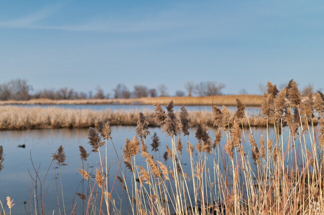 The Lake Erie Metropark has beautiful wetlands and abundant wildlife in Rockwood.