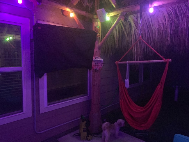 1 Quarterhorse Dr, Alvin, TX 77511 - photo 2