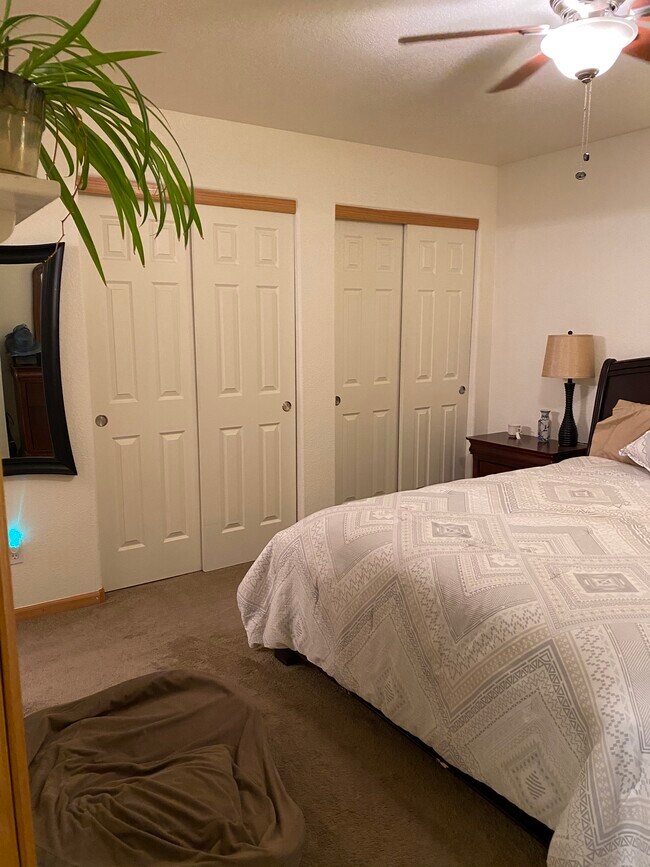 3761 Mt Flora St, Wellington, CO 80549 - photo 7