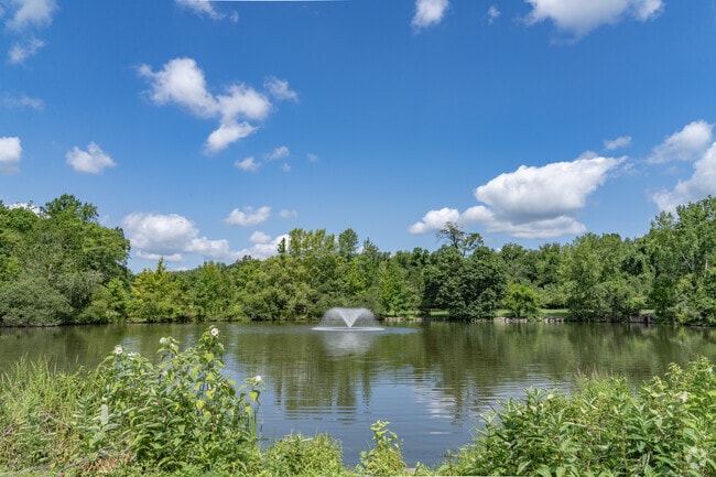 Fishing is popular along the brook at Pascack Brook County Park.