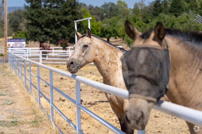 Surrounded by nature, residents of Auberry can enjoy the beauty present in the mountains.