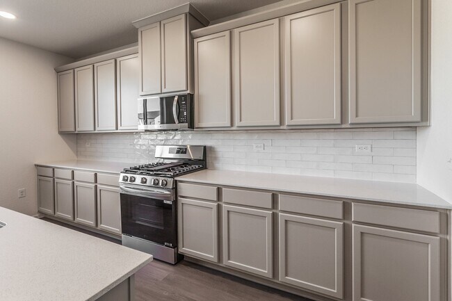 3146 Tourmaline Place, Severance, CO 80524 - photo 4