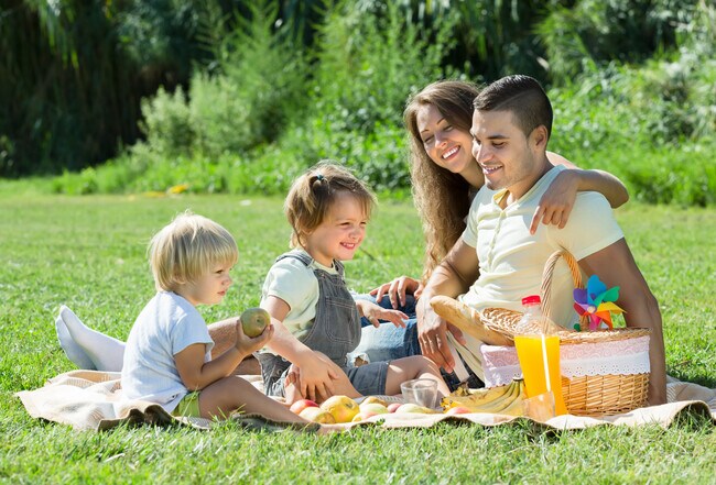 family picnic_458670019