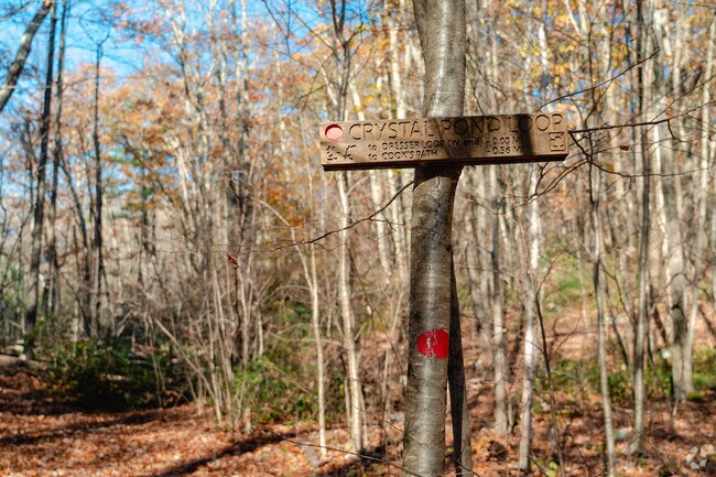 The Crystal Pond Loop Trail is on of the many hikes of Cook’s Woods.
