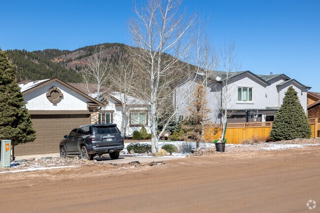 You'll find plenty of Aspen trees in and around the Palmer Park neighborhood.