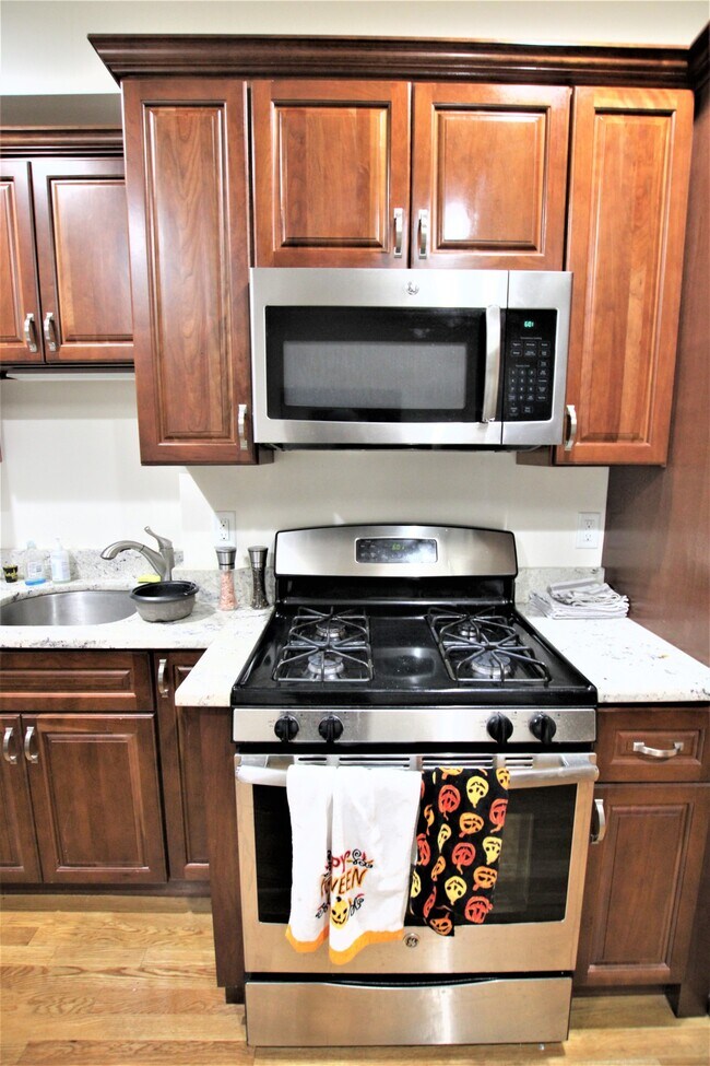 1029 Tremont St unit 3, Roxbury Crossing, MA 02120 - photo 4