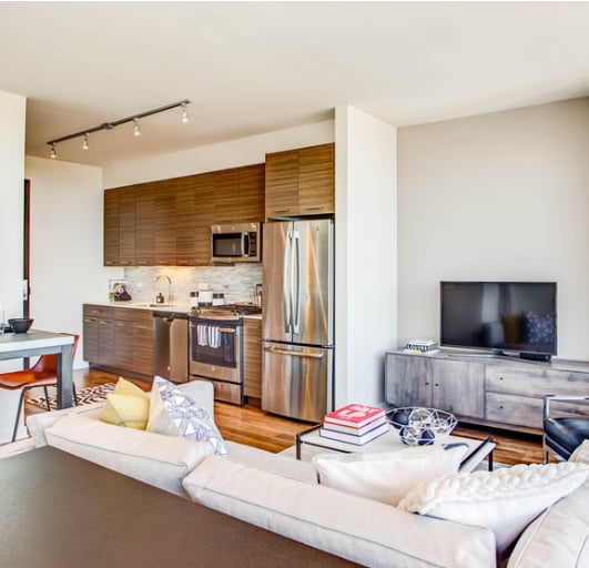 339 E Chestnut St, Chicago, IL 60611 - photo 2