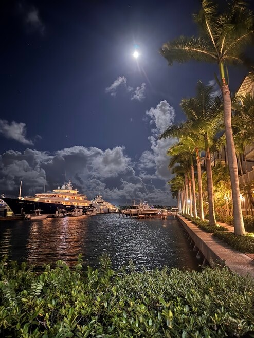 Nighttime walks perfect for dogs.