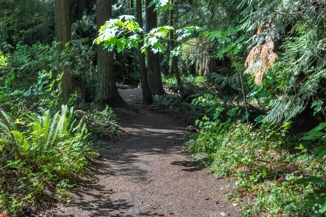 Big Gulch Park in Harbour Pointe is a pristine forested area in the heart of Mukilteo.