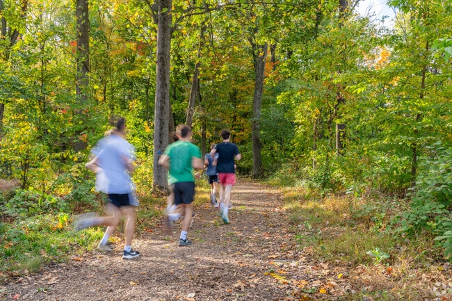 Palmyra trail loops through the woods in North Londonderry where cross country teams run.