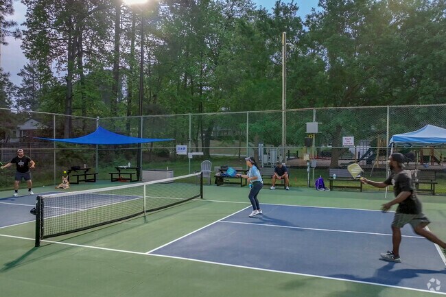 Pickle ball has increasingly become more popular each year.