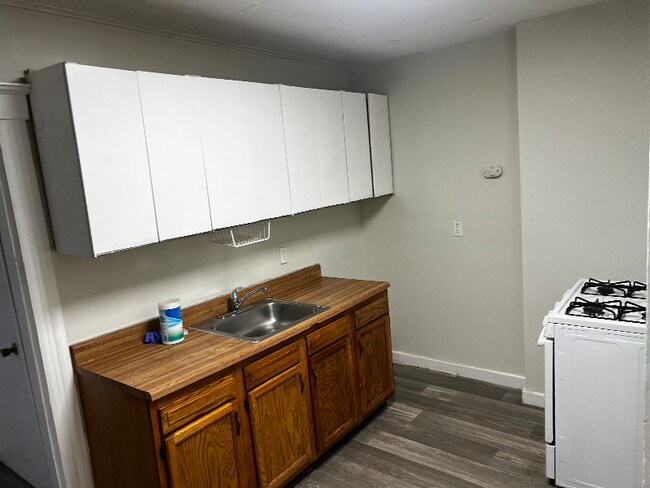 19 E James St unit 1, River Rouge, MI 48218 - photo 4