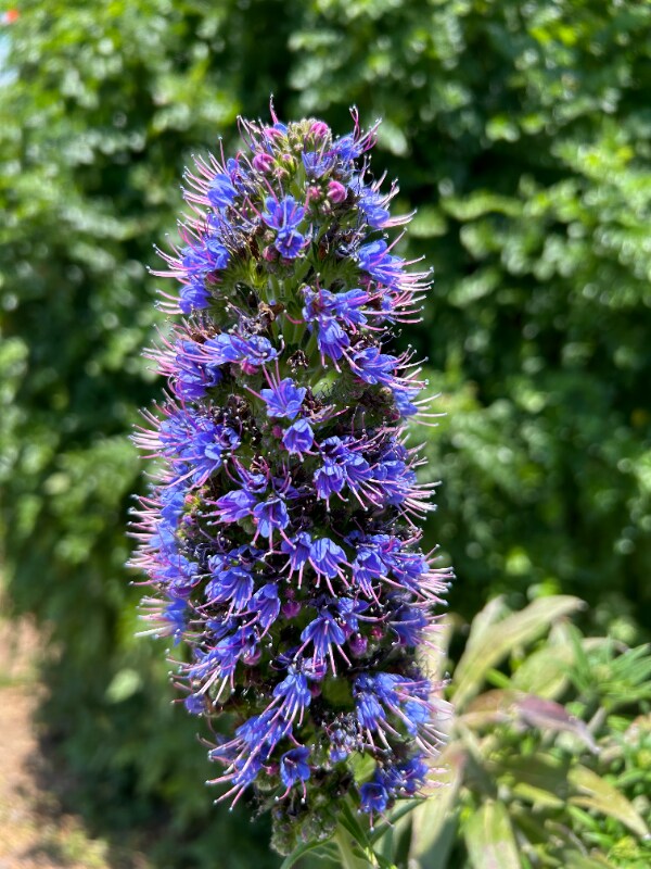 25147 Jack Rabbit Acres unit 25147 Jack Rabbit Ac, Escondido, CA 92026 - photo 1