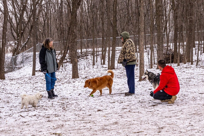 Chisago City Dog Park is heavily wooded with plenty of room to roam and run.