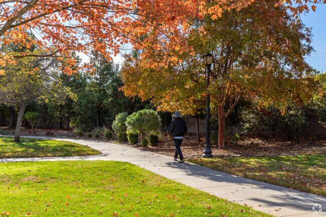 Bellgrove Park Bellgrove Park in Quito Village.