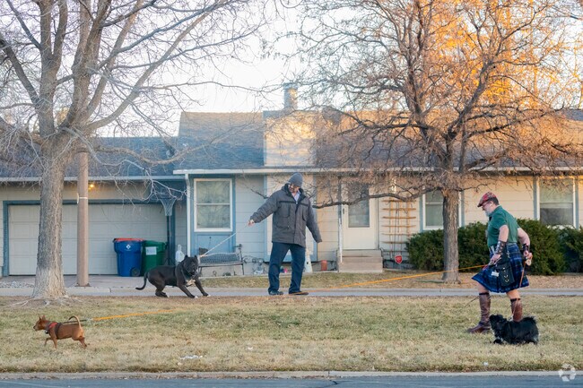 Mission Viejo neighbors cross paths while walking their dogs.