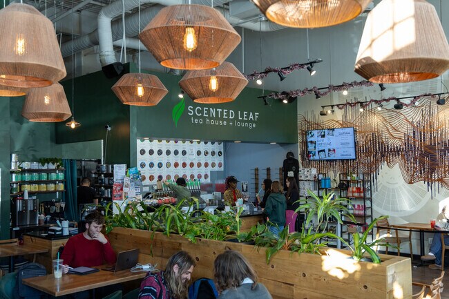 Get some delicious tea at Scented Leaf in North University.