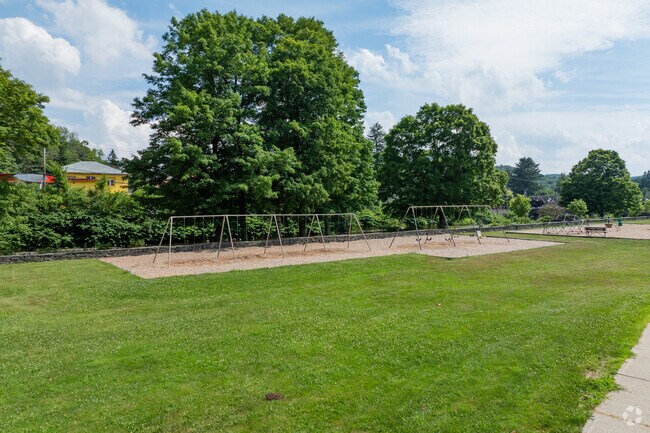 There are multiple playgrounds at Livingston Manor Elementary School.