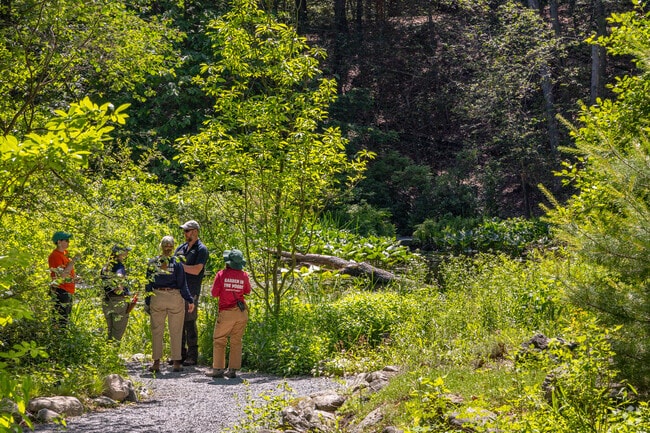 Horticulturalists in training learn about native flora at Garden in the Woods in Nobscot.