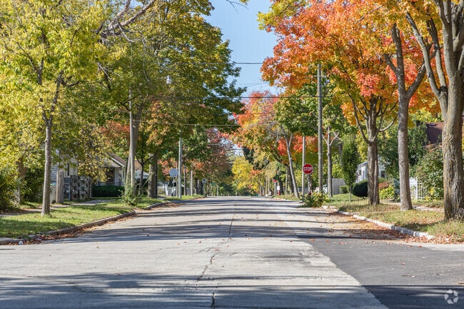 Fall in the Thurston Woods neighborhood is beautiful.