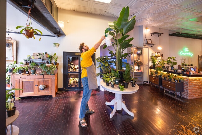 The Conservatory in Northwest Monroe is the cutest shop for indoor plants and plant education.