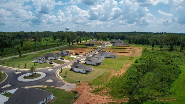 Camellia Drone-3.jpg