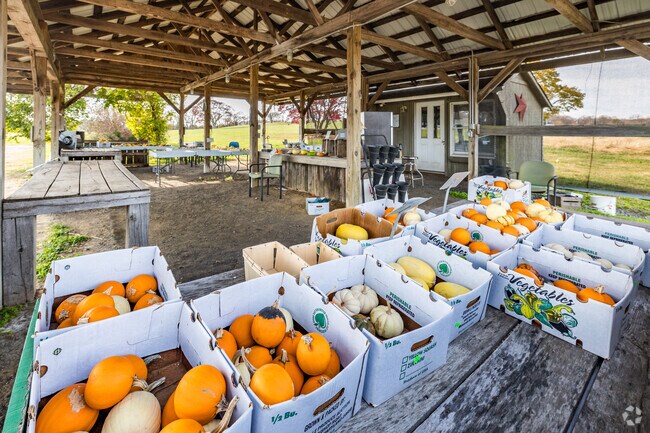 Experience the heart of Owings with Trott's Farm, a haven of quality produce and rural charm.