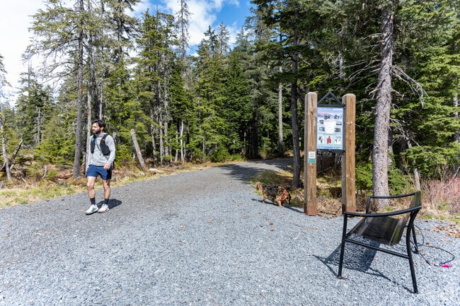 Hiking options in Alyeska are endless around the Alyeska Resort, like the North Face Trail.