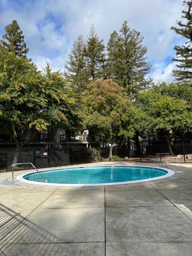 4081 Clayton Rd, Concord, CA 94521 - photo 2