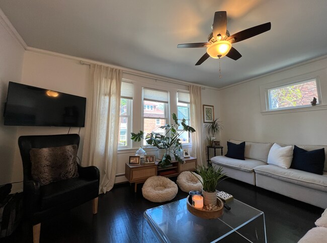 15 Bothwell Rd, Brighton, MA 02135 - photo 3