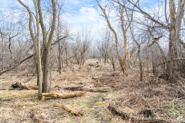 The nature views in the Forest Preserve near Schiller Park are beautiful.