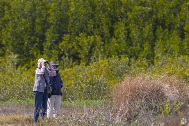 Preserves and parks along the coast of Northwest Bradenton are a haven for birders.