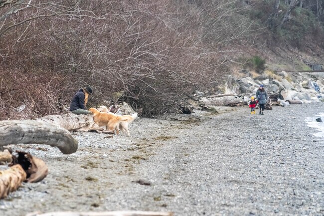 Enjoy miles of beach to walk your pups and enjoy the ocean views in Richmond Highlands.