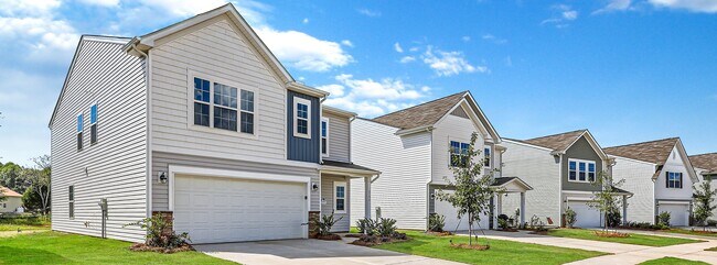 30' Dream Collection