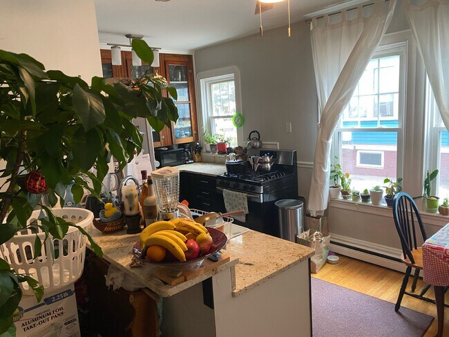 25 Forest St unit 25 Forest St, Providence, RI 02906 - photo 4