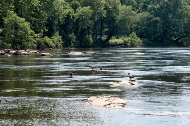 The Stony Point neighborhood offers easy access to the James River.