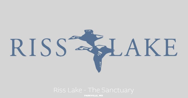 Riss Lake - The Sanctuary