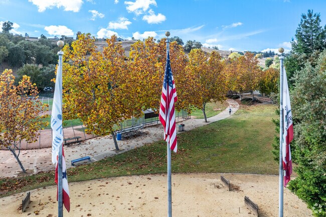 Memorial Park in San Ramon offers open fields, playgrounds, and peaceful picnic spots.