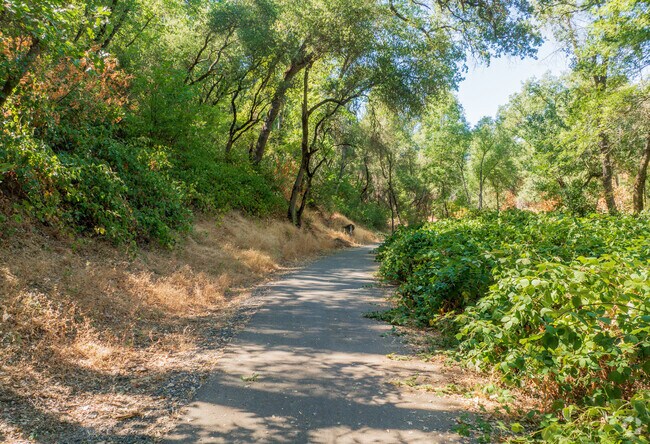 In the City of Sonora, the picturesque Dragoon Gulch Trail extends over 3 miles through lush oak forests, offering a serene escape for hikers and nature enthusiasts alike.