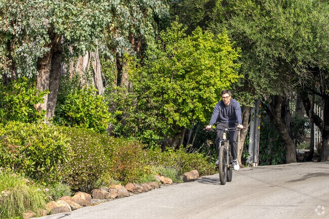 Pedaling through the picturesque streets of Emerald Hills neighborhood.