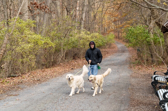 The trails at The Gordon are perfect for walking your dog.