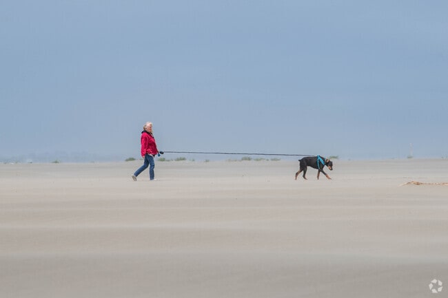 Take your dog for a walk and comb the beach in while visiting Grayland Beach State Park.
