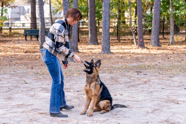 An obedient dog and its owner near Bay Colony-Cavalier Park.