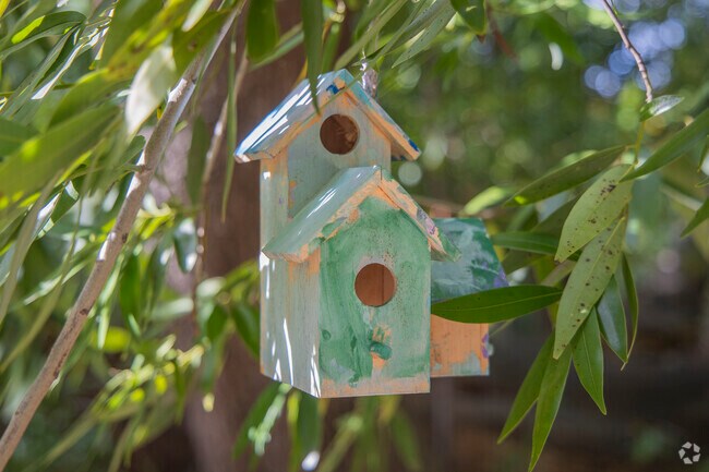 Peardale Estates' Hidden Oak Trail has some artistic community made bird houses along the trail.