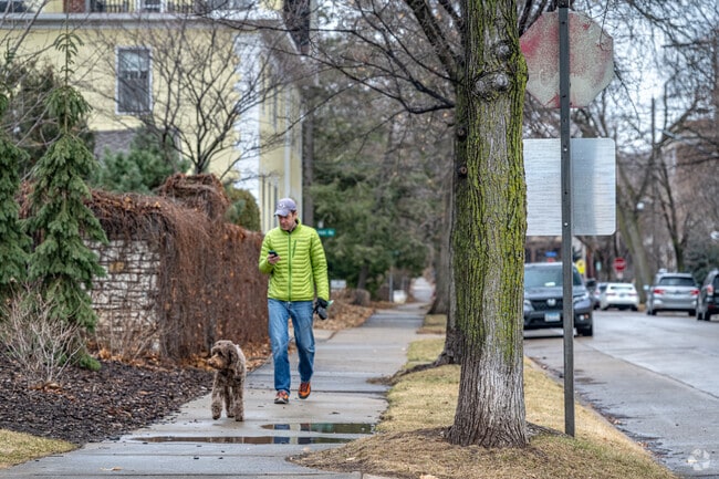 Dog walkers can take a casual stroll throughout Kenwood.