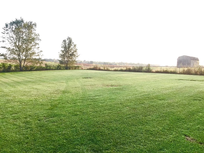 209 Bumpus Mill Rd, Oak Grove, KY 42262 - photo 3