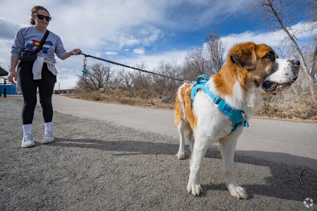 You can take your dog for a long walk in Fruitdale on the Clear Creek Trrail.