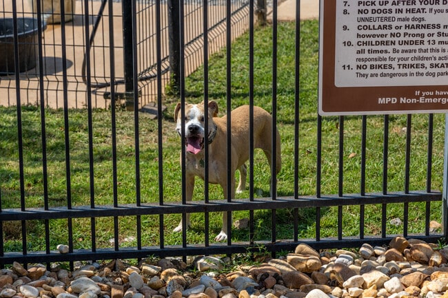 Local pets will love The Hannah Daye Ridling Bark Park in East Montgomery.